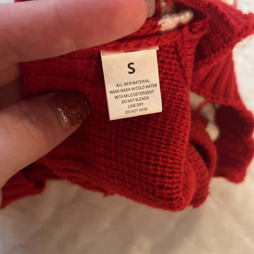 Santa dog sweater